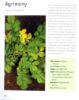 Picture of GUIDE TO HERBS WITH JOURNAL