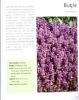 Picture of GUIDE TO HERBS WITH JOURNAL