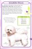 Picture of SPOT 50 DOGS