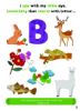 Picture of SMART BABIES I SPY ABC-ANIMALS